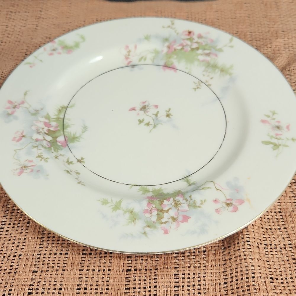 Theodore Haviland Apple Blossom Floral Salad Plate 8"